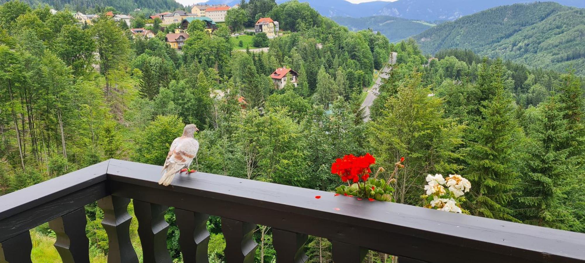 Kurhotel Renona Rehabilitation Semmering Eksteriør bilde